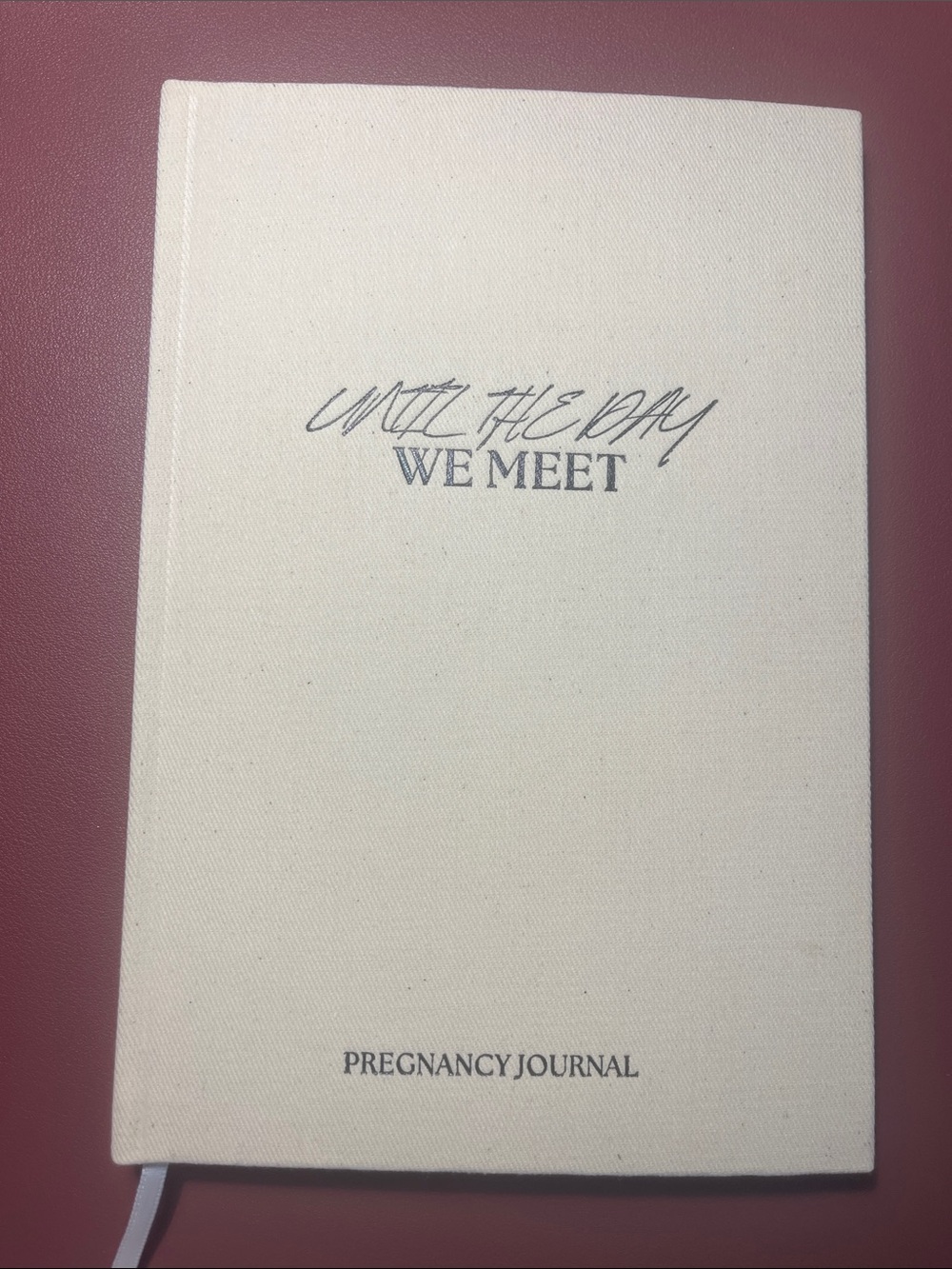Until The Day We Meet Pregnancy Journal - Cream Canvas Cover NWOT